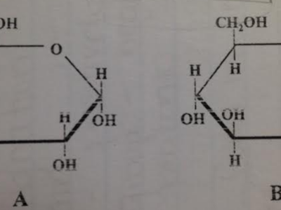 Which of these molecules could be polymerized to form starch (amylose)?