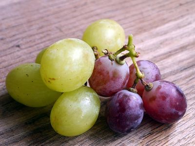 Fill in the blank: 'What did the green grape say to the purple grape?'