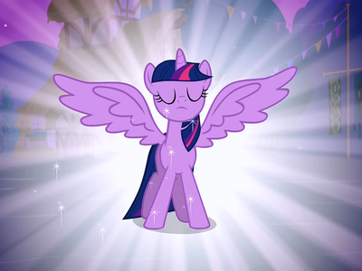 What type of pony was Twilight before becoming an alicorn?