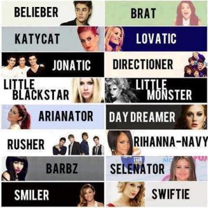 Which fanbases hate One Direction the most?