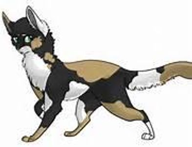 Which one of TigerStars kits left ThunderClan to join ShadowClan?