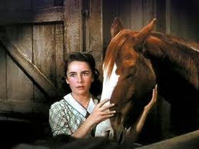 In the film National Velvet who plays velvet?