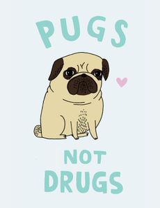 do u like pugs (write yes)