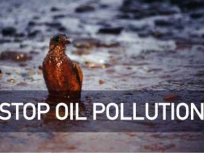 How many birds are estimated to die due to sea pollution?