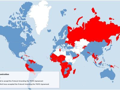 How does the World Trade Organization impact globalization?