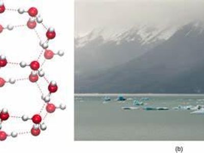 Which property of water causes ice to float on liquid water?