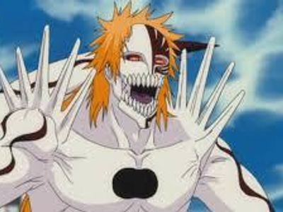 what was ichigo's hollow battle against/with