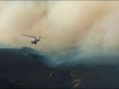 Evacuations have been lifted for homes in the Rowena wildfire area. How many homes?