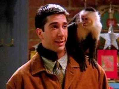 What was the name of Ross's pet monkey?