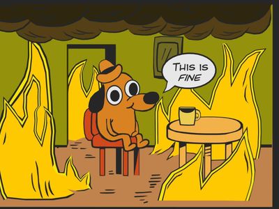 What does the 'This is fine' dog meme portray?