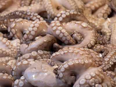 How many hearts do octopuses have?