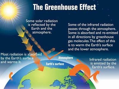 Which gas is primarily responsible for global warming?