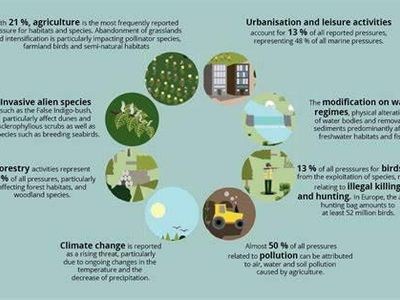 What is the process by which species evolve in response to environmental pressures over time?