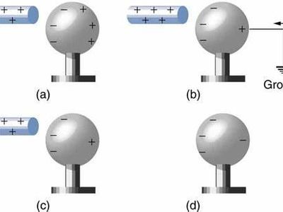 Which type of earring dangles below the earlobe but does not touch the shoulder?