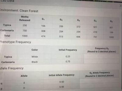 What is the recommended frequency for dental check-ups?