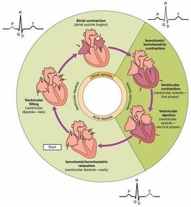 What is the term for the condition where blood flow to the heart is reduced or blocked?