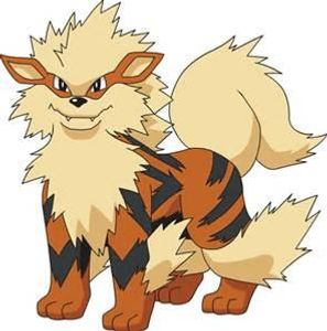 Is the Arcanine cool or what?