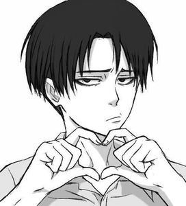 Who do you think who Levi likes?