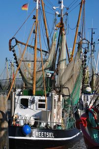 What is a common characteristic of a trawler fishing boat?