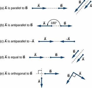 Which of the following is NOT a vector operation?