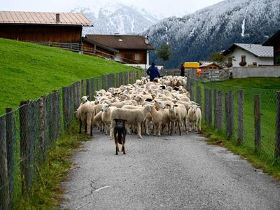 What is the contribution of livestock to sustainable agriculture?