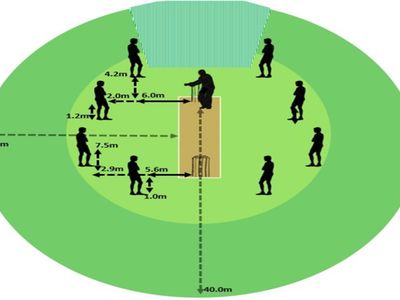 If the ball hits the boundary ropes without bouncing, how many runs are scored?