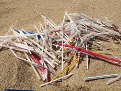 How long will your straw last? A plastic straw that you use once or never use will decompose in: