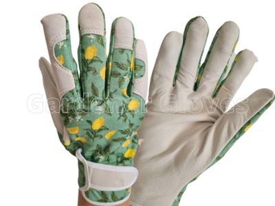 What do gardening gloves protect your hands from?