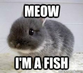 Meow I'm a...