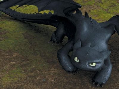 I'm a dragon you rarely see. I am called a Night Fury and was brought down by the thick netting that disabled my flight ability. Who am i?