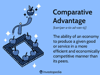 Which trade theory suggests that countries should specialize in producing goods where they have a comparative advantage?