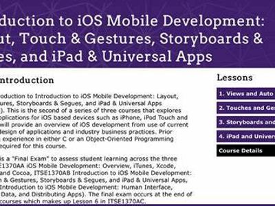 What is the primary language used for developing iOS apps?