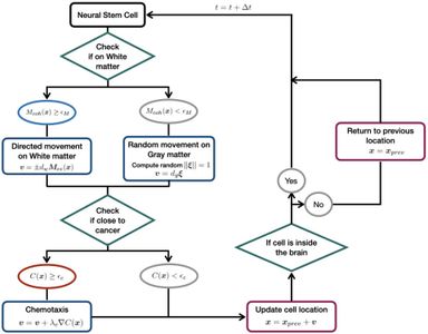 What is the general solution of a homogeneous linear differential equation?