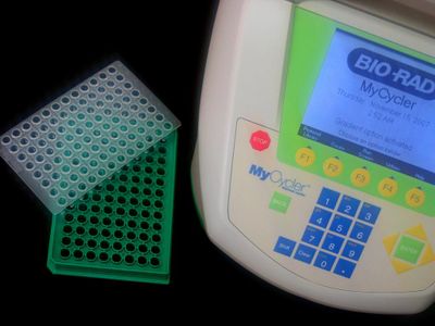 What is the purpose of using PCR (Polymerase Chain Reaction) in biotechnology?