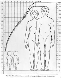 What is your body size and height?