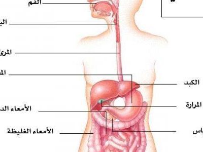 ما اسم الجهاز الموضح امامك