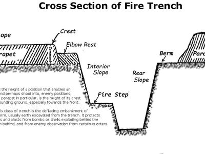 What is the recommended step height for beginners?