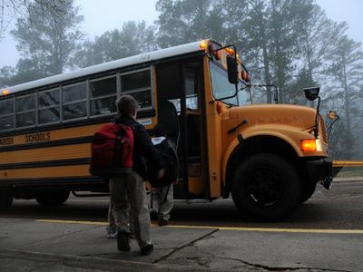 What should you do when approaching a stopped school bus or transit bus?