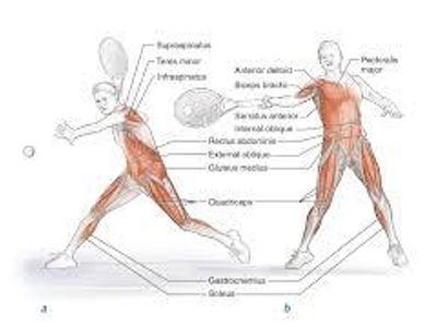 Why is it important to maintain an active stance at the net?