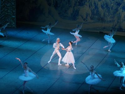 In what year was the Mariinsky Theatre, home to the Mariinsky Ballet Company, constructed?