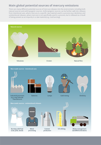 What is the main source of mercury pollution in the environment?