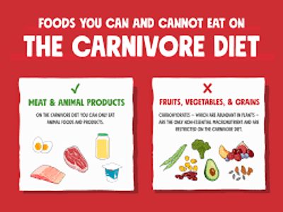 What is the primary diet of a carnivore?