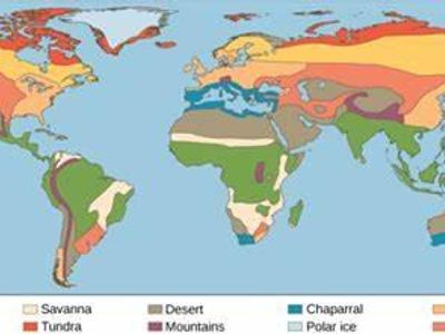 Which of the following is NOT a major biome on Earth?