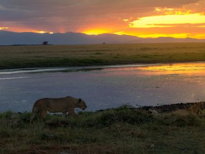 Which country is famous for the Maasai Mara National Reserve and Mount Kilimanjaro?