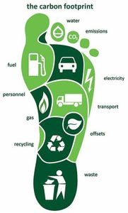 What is one way to reduce our ecological footprint?