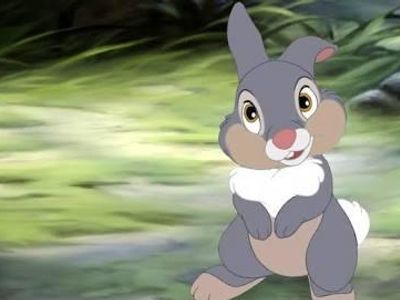 What movie has Thumper on it?