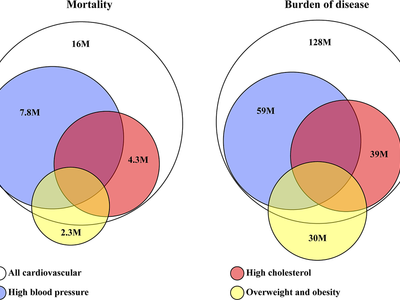 Which of the following is a risk factor for cardiovascular disease?