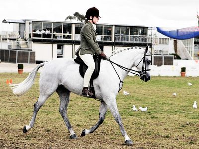 Which of the following disciplines is included in the equestrian sport?