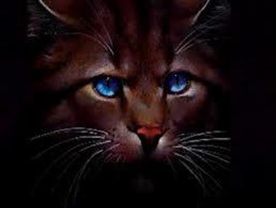 When does Hawkfrost Die?