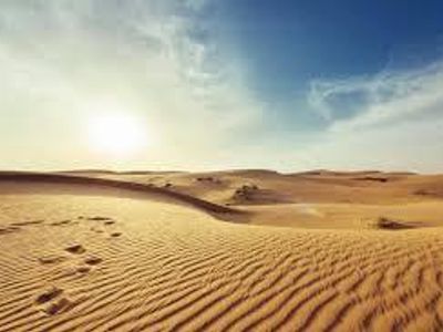 Which is the largest hot desert in the world?